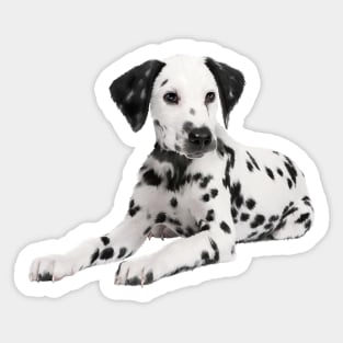 Dalmatian Dog, Love Dalmatians Sticker